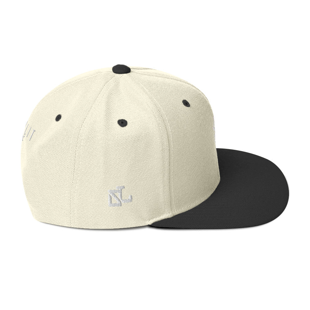 Skylit Dice Snapback Hat