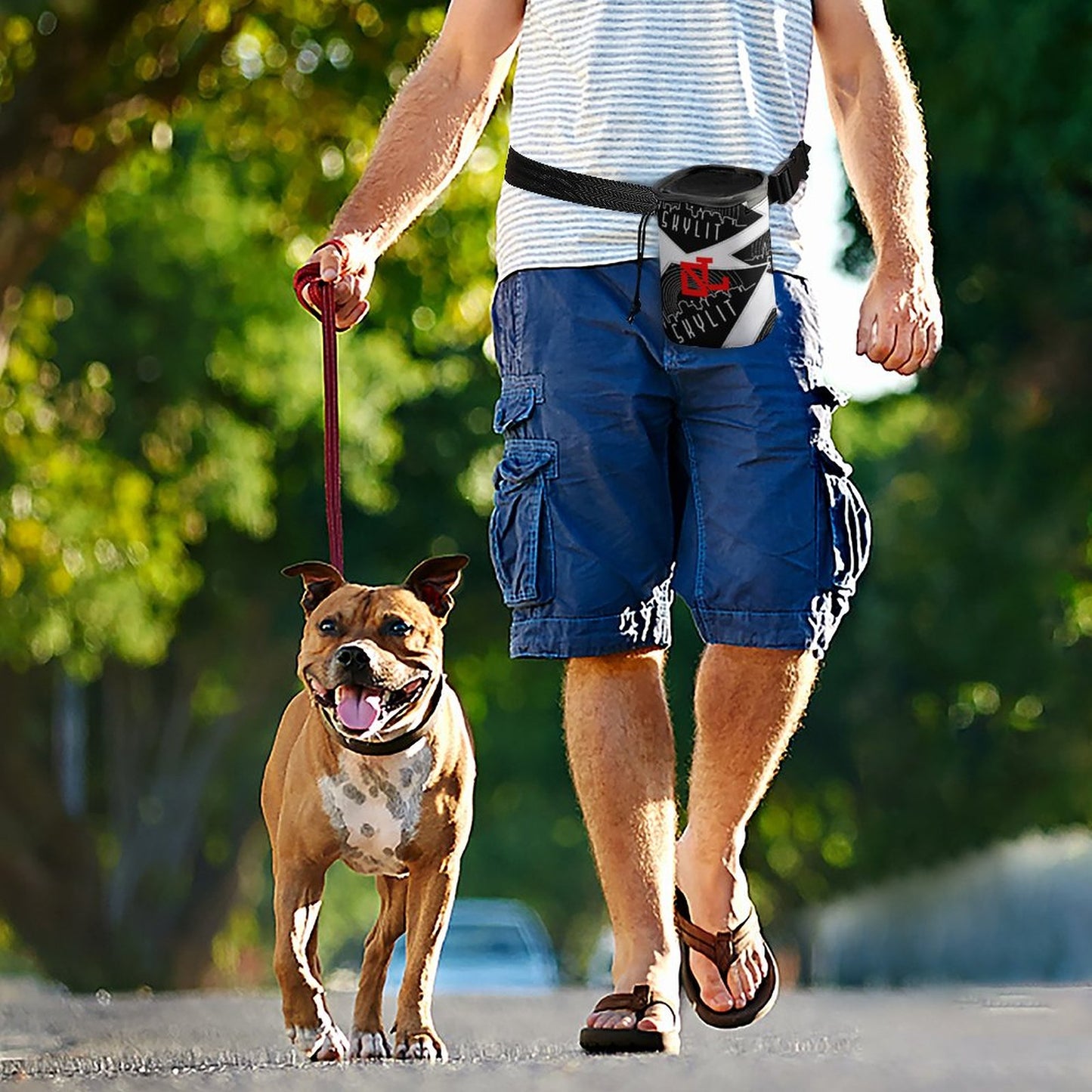 Skylit SL Dog Treat Training Bag